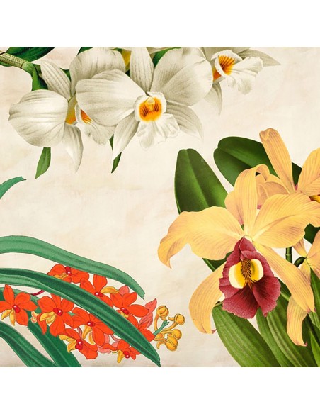 Panel Botánico VIII