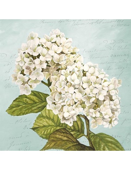 Hortensias III (Aqua)
