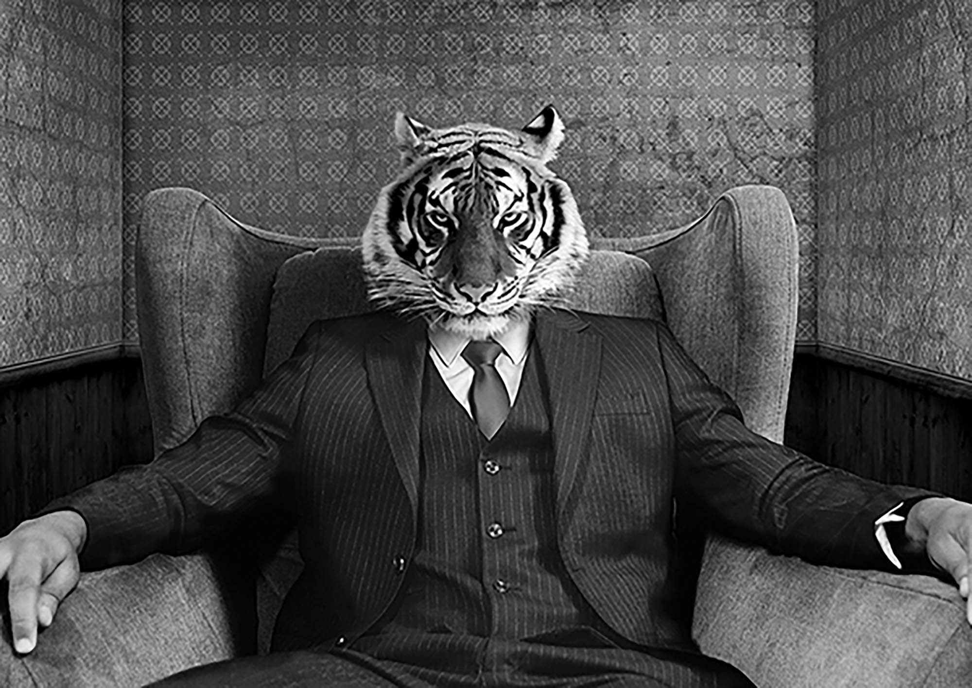 El tigre (blanco y negro)