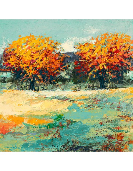 Campaña de verano II