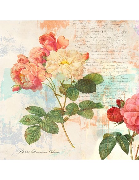 Las Rosas de Redouté 2.0  I