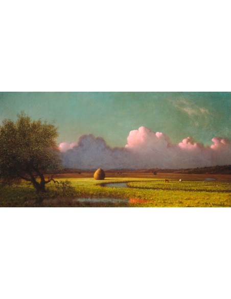 Luz solar y sombra: las marismas de Newbury