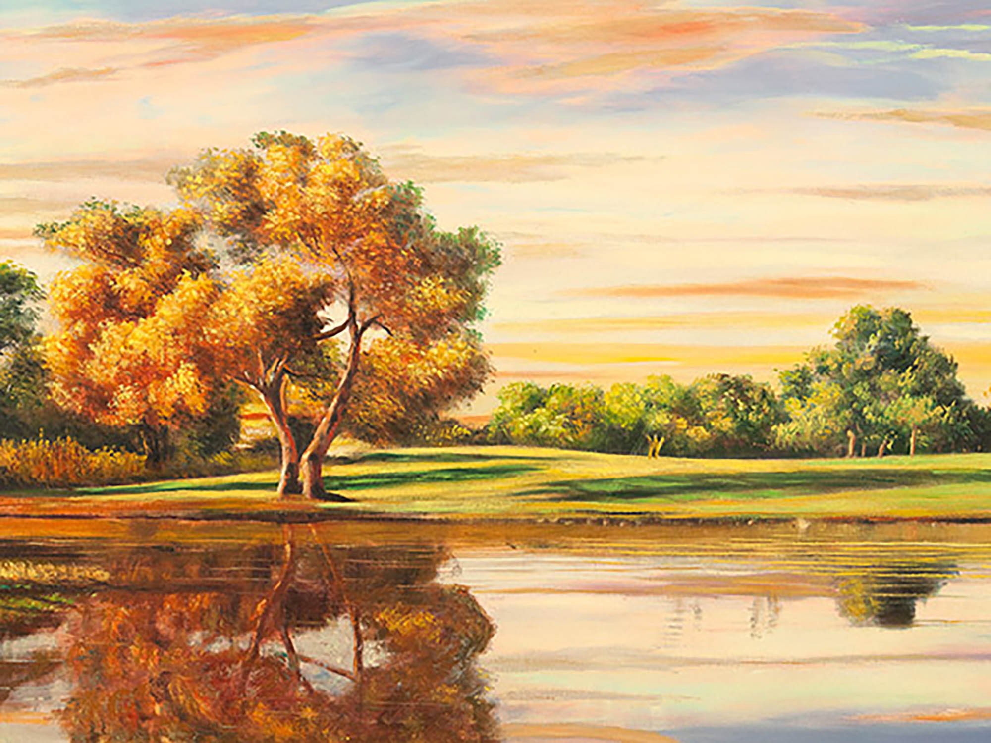 Reflejos en el lago (detalle)