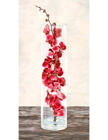 Arreglo de orquídeas