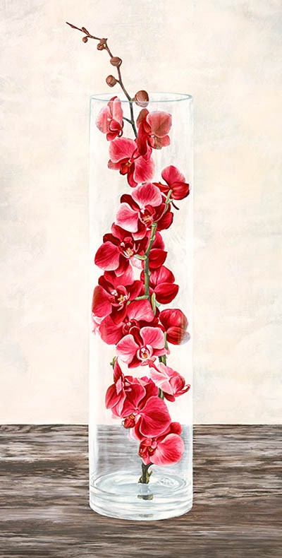 Arreglo de orquídeas