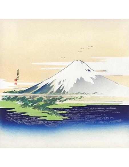 Fuji, 1900-1910