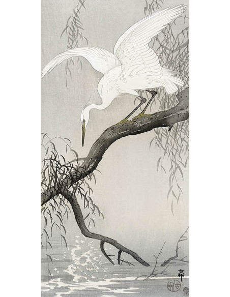 Garza blanca en la rama de un árbol