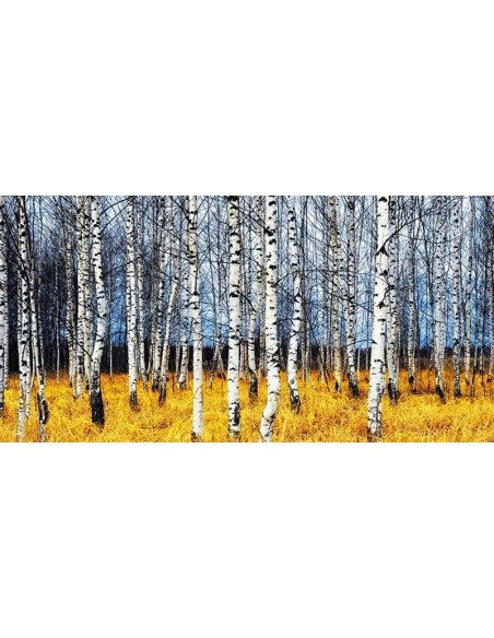 Bosque de abedules en otoño (detalle)