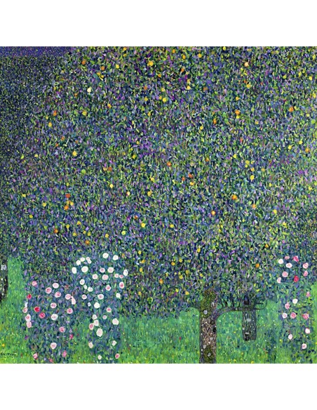 Rosas bajo los árboles