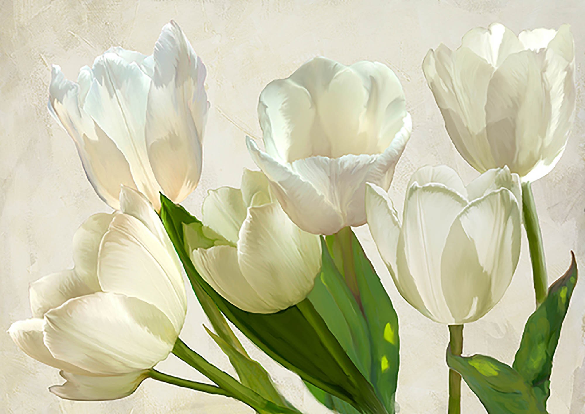 Tulipanes blancos