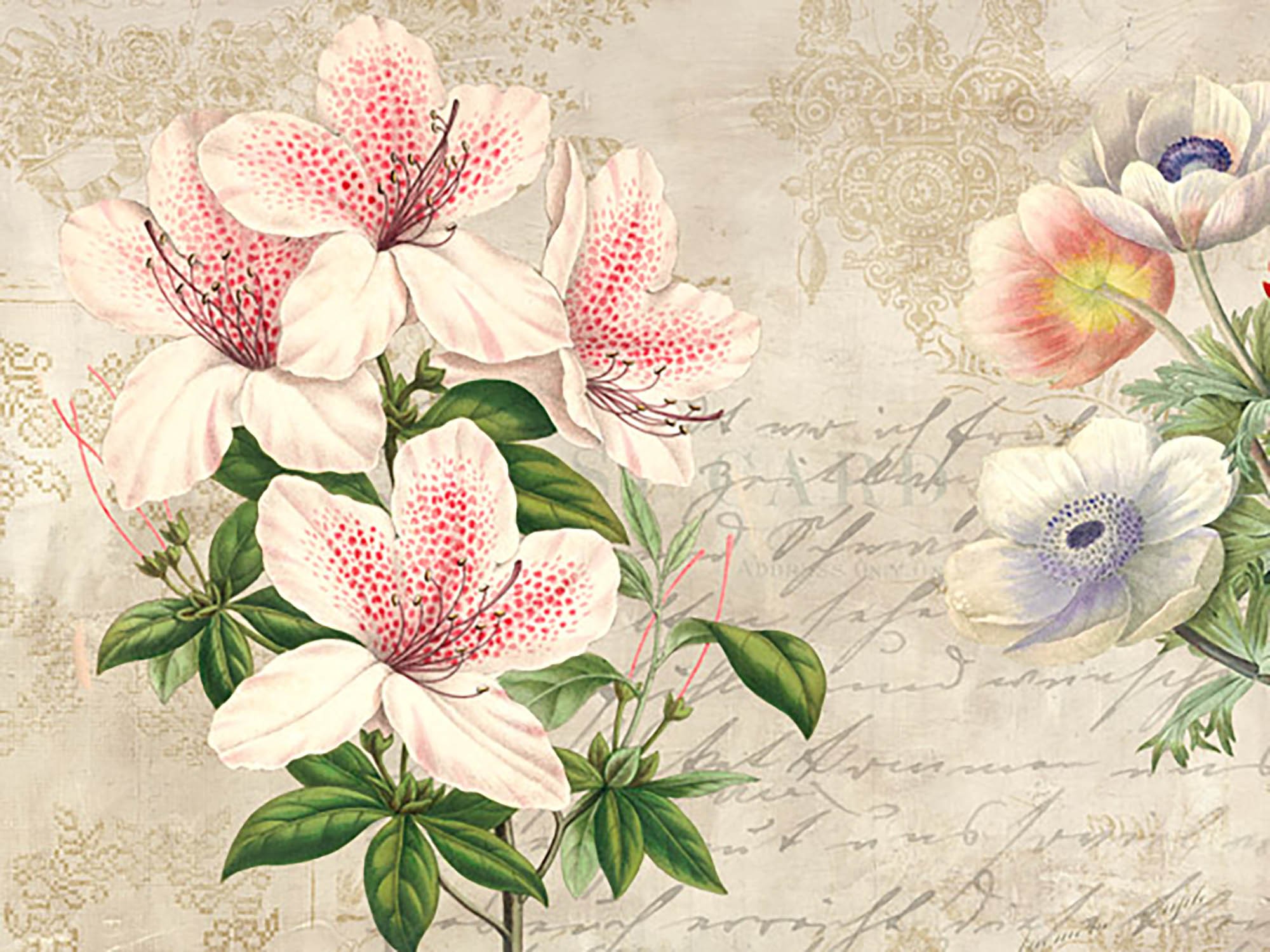 Botánica moderna II