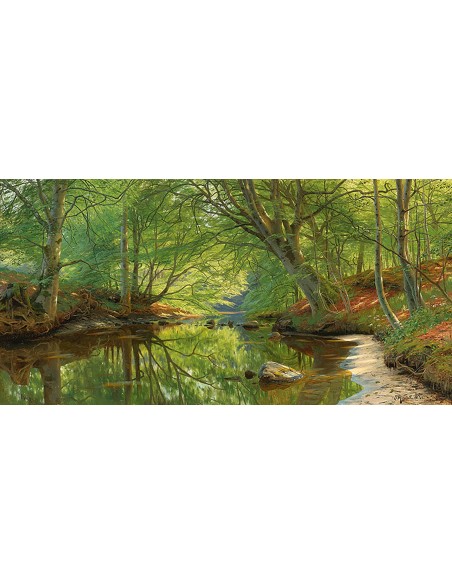 Un arroyo a través del bosque