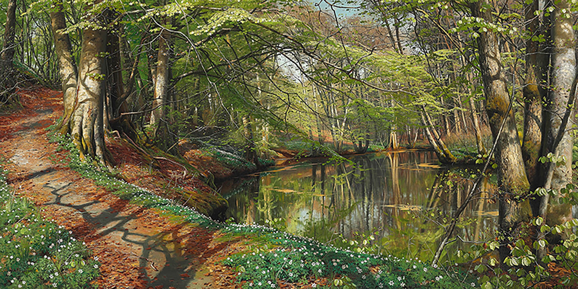 Un día de primavera en el bosque.