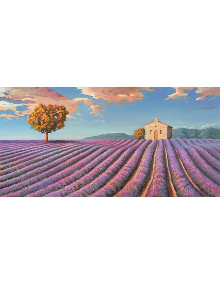 campos de lavanda