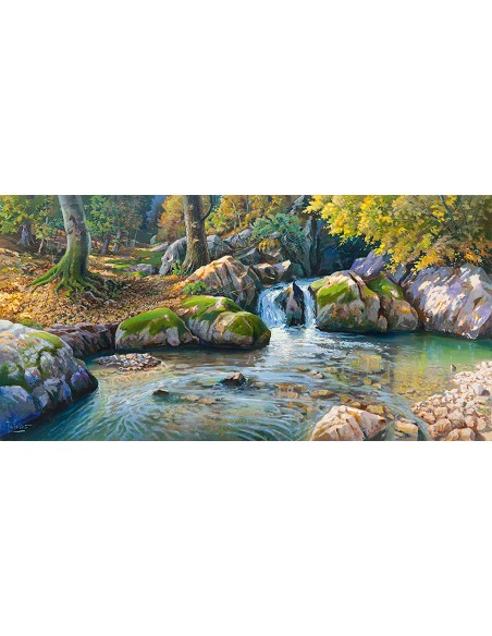 Cascada en el bosque