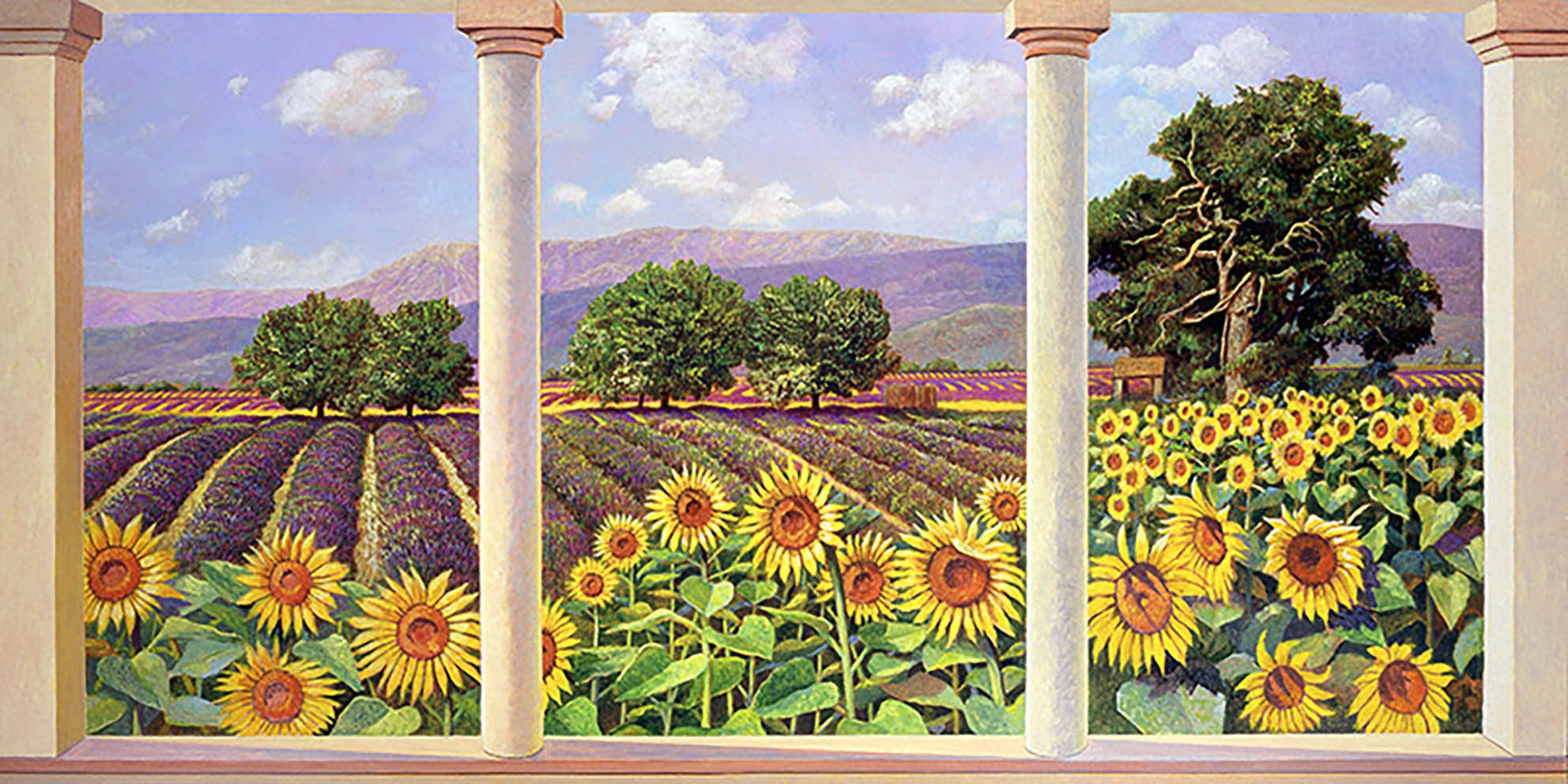 Ventana a los girasoles