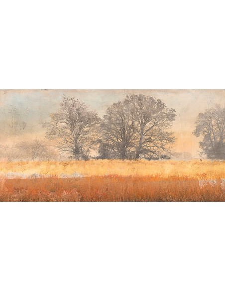 Árboles en la niebla