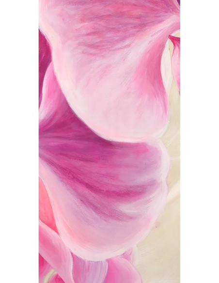 Orquídeas púrpuras II