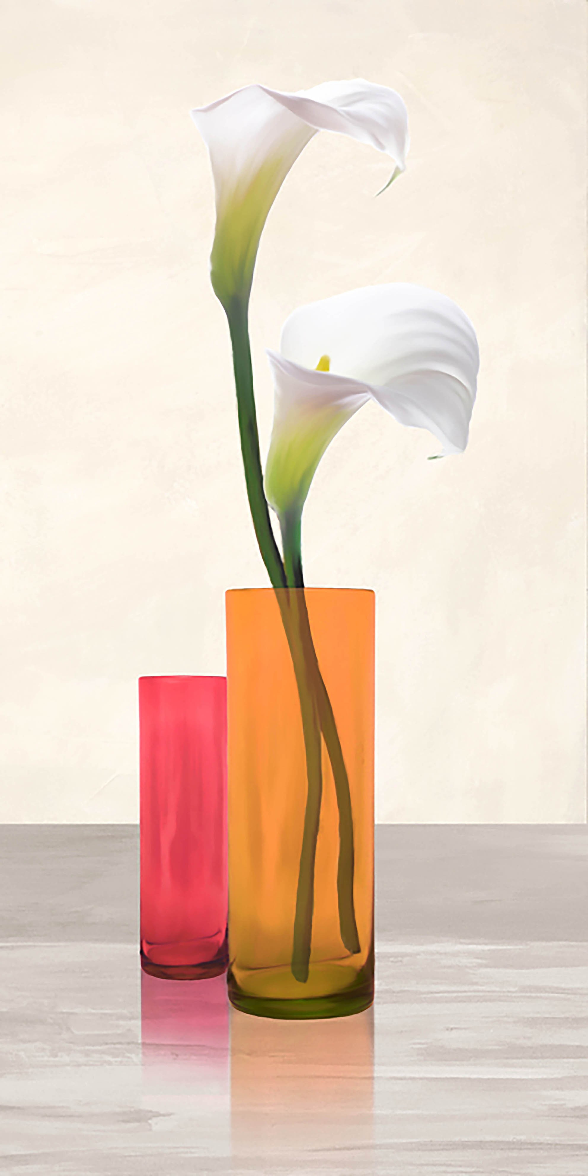 Calas en jarrones de cristal II