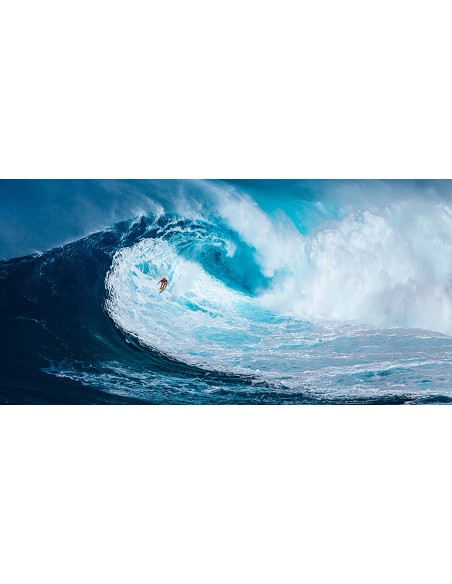 Surfeando la gran ola, Tasmania (detalle)