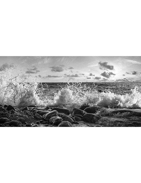 Olas rompiendo en Point Reyes, California (detalle, blanco y negro)