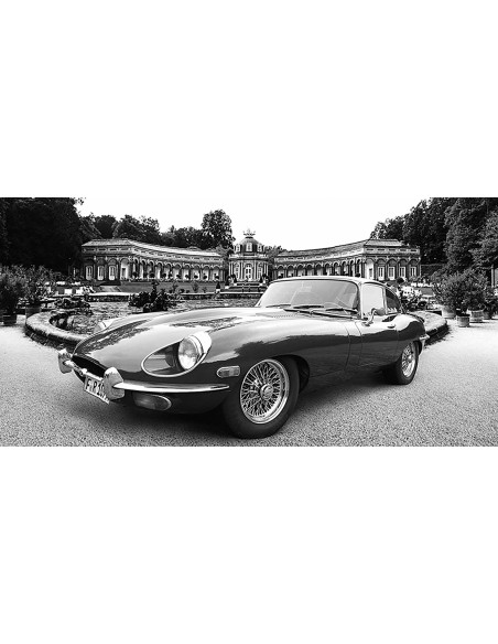 Coche deportivo clásico en un parque histórico