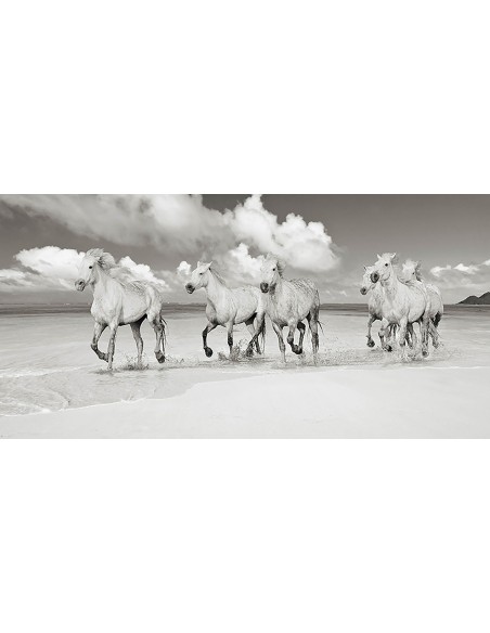 Hermanos de sangre, Playa Lanikai, Hawái (BW)