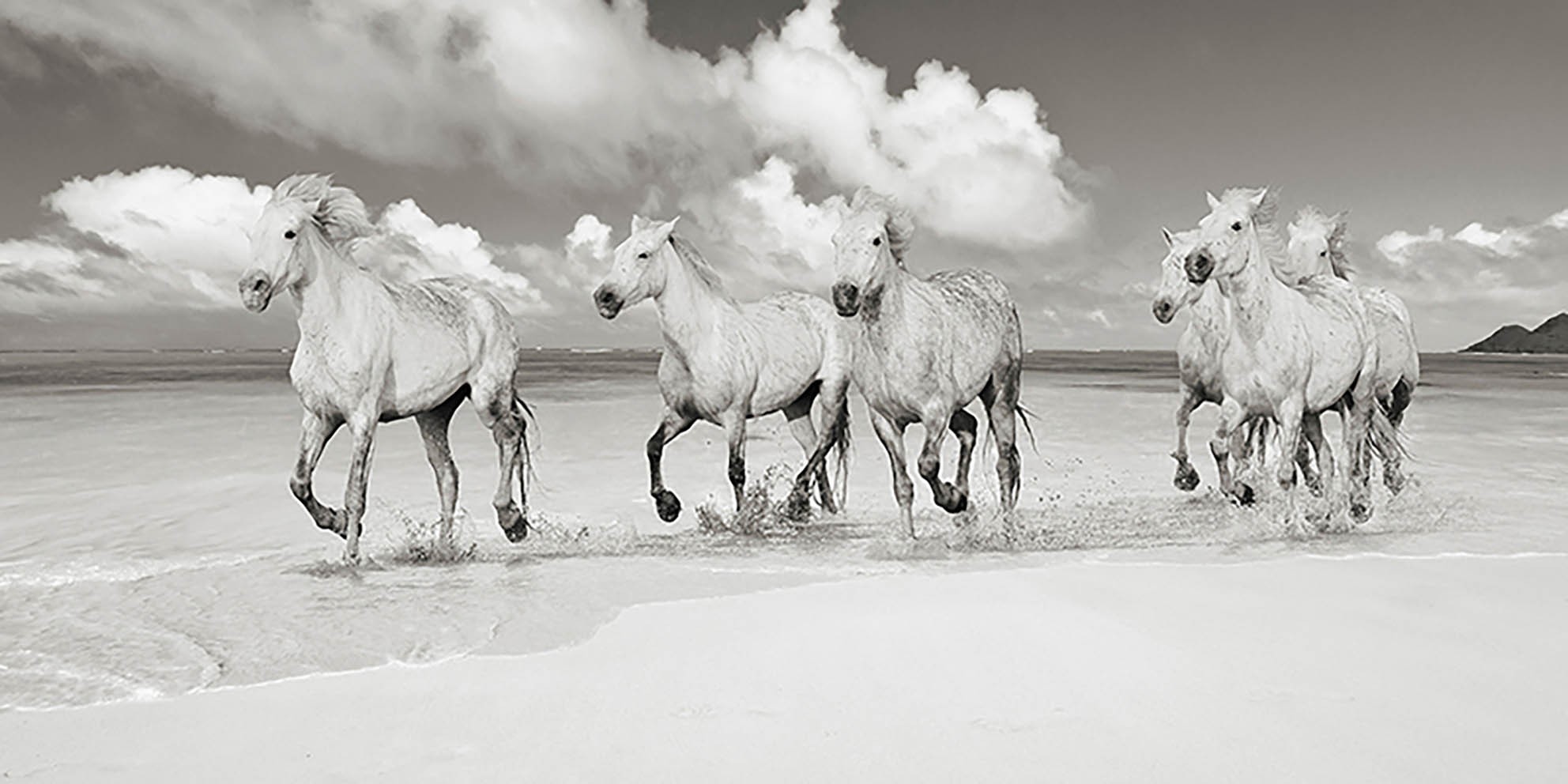 Hermanos de sangre, Playa Lanikai, Hawái (BW)