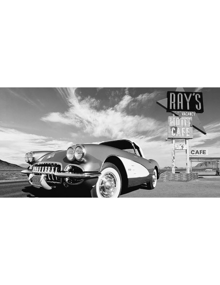 Crucero por Estados Unidos (BW)