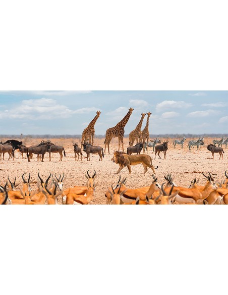 Soberano pasando por (Masai Mara)