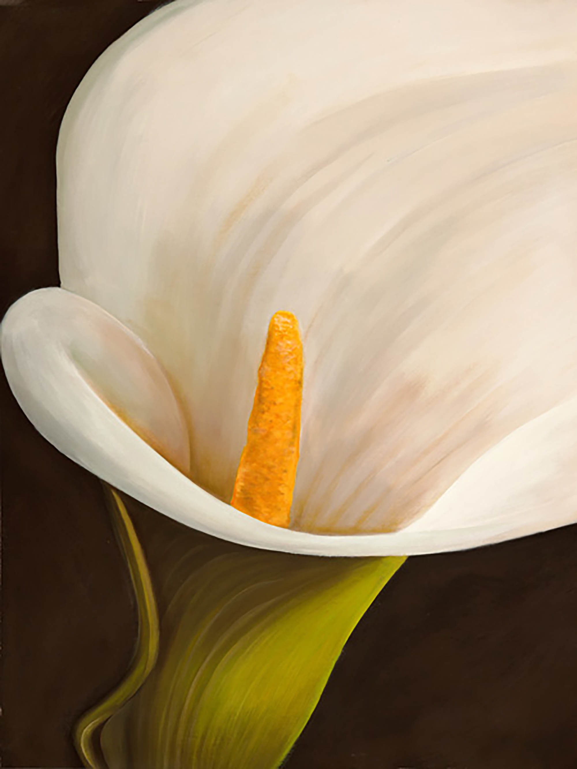 Modern Calla II