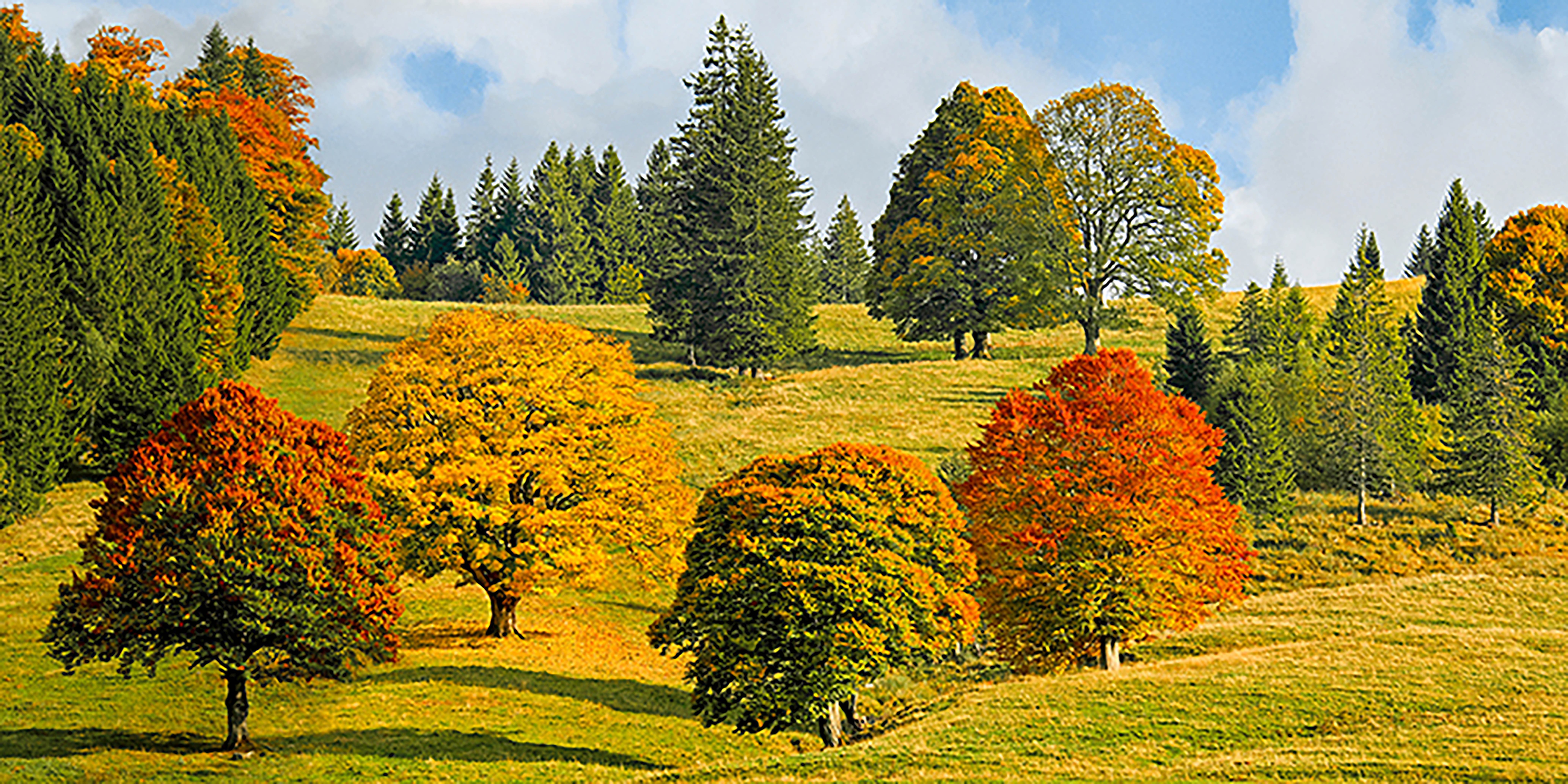 Otoño en Quebec