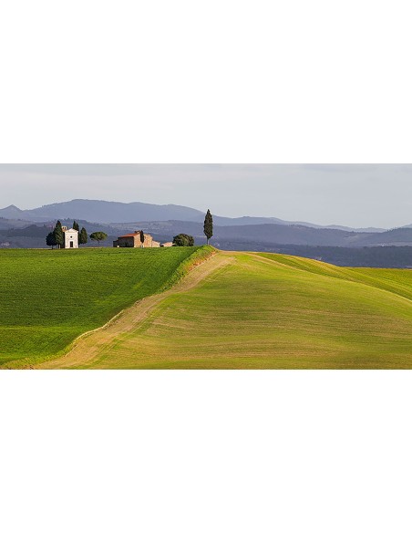 Val d'Orcia, Siena, Toscana (detalle)