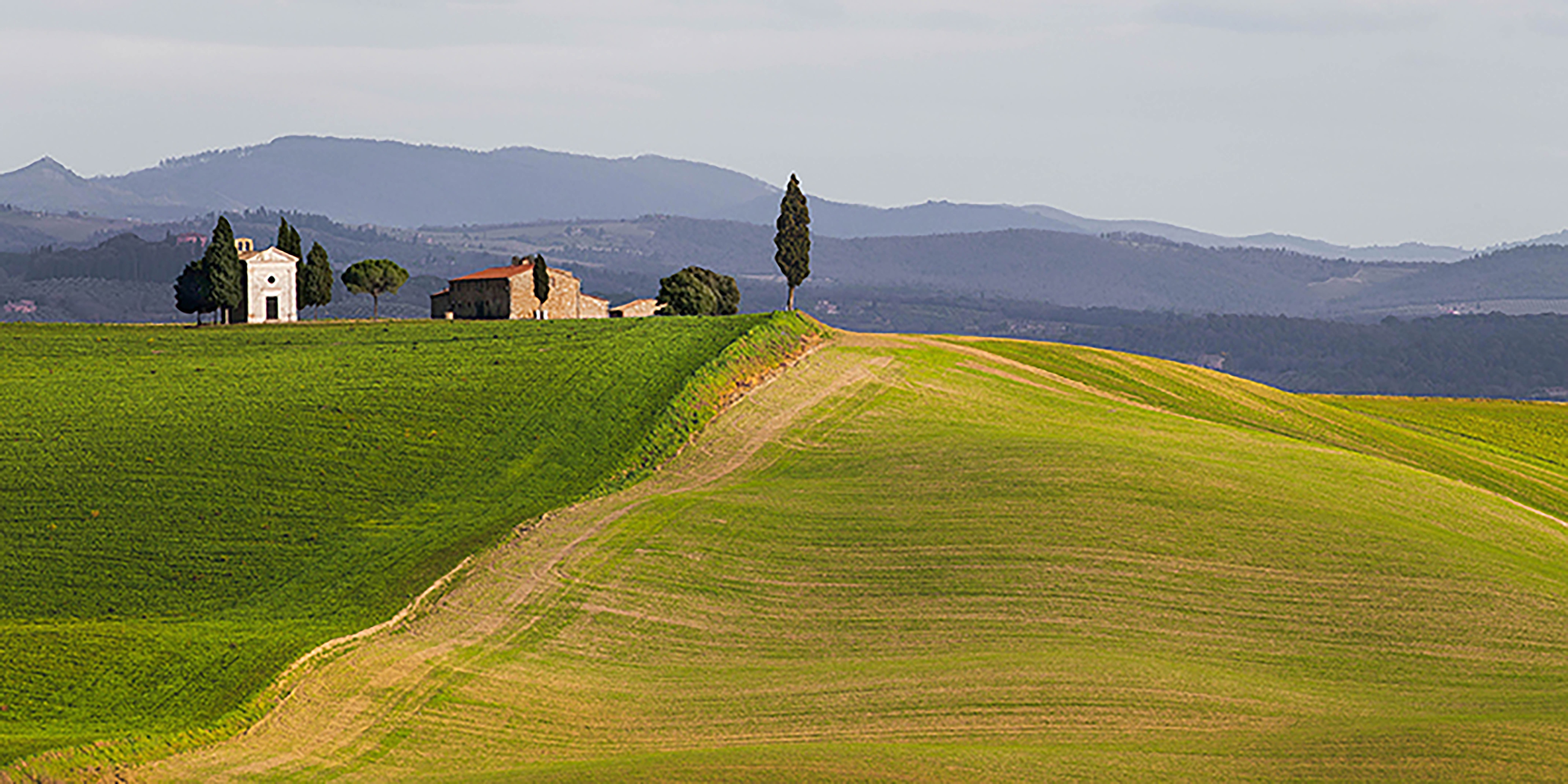 Val d'Orcia, Siena, Toscana (detalle)