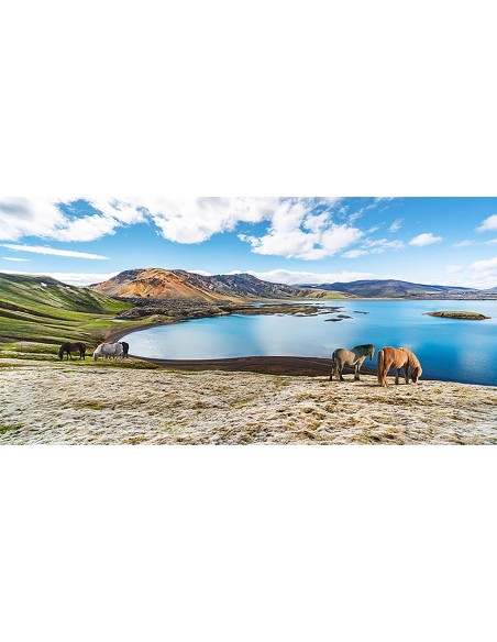 Caballos salvajes junto a un lago, Islandia