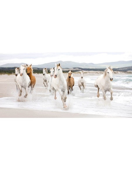 Caballos en la playa (detalle)