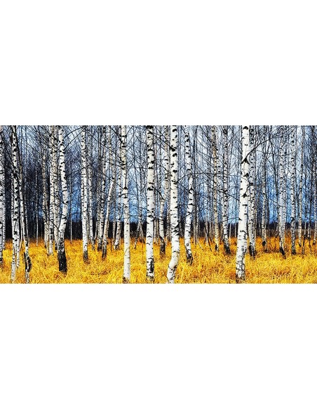 Bosque de abedules en otoño (detalle)