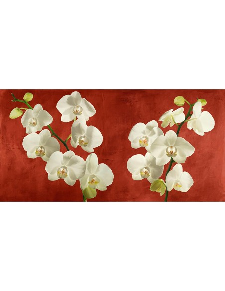 Orquídeas sobre fondo rojo