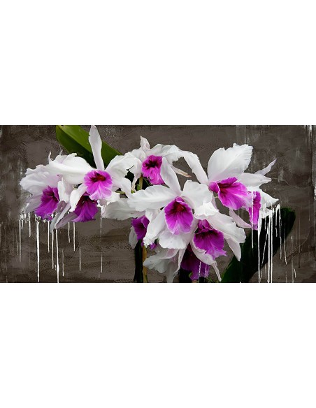 Pizarra de orquídeas