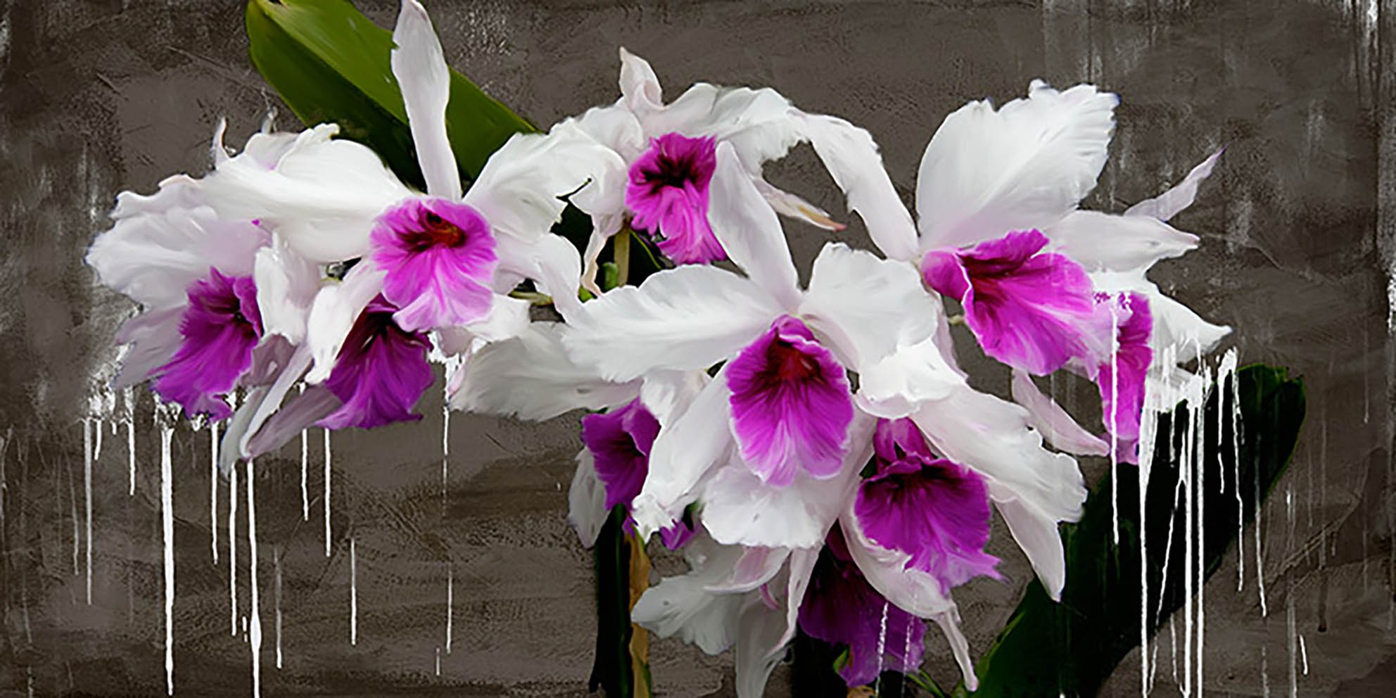 Pizarra de orquídeas