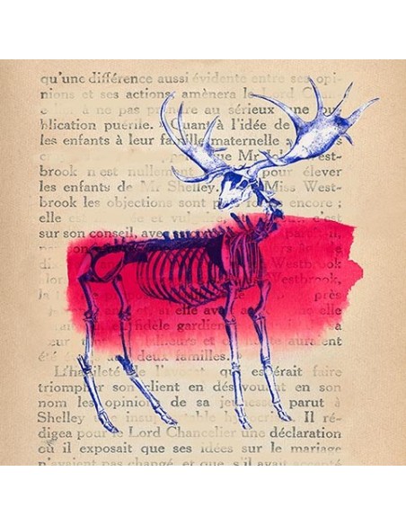 Recuerdos de lo salvaje III