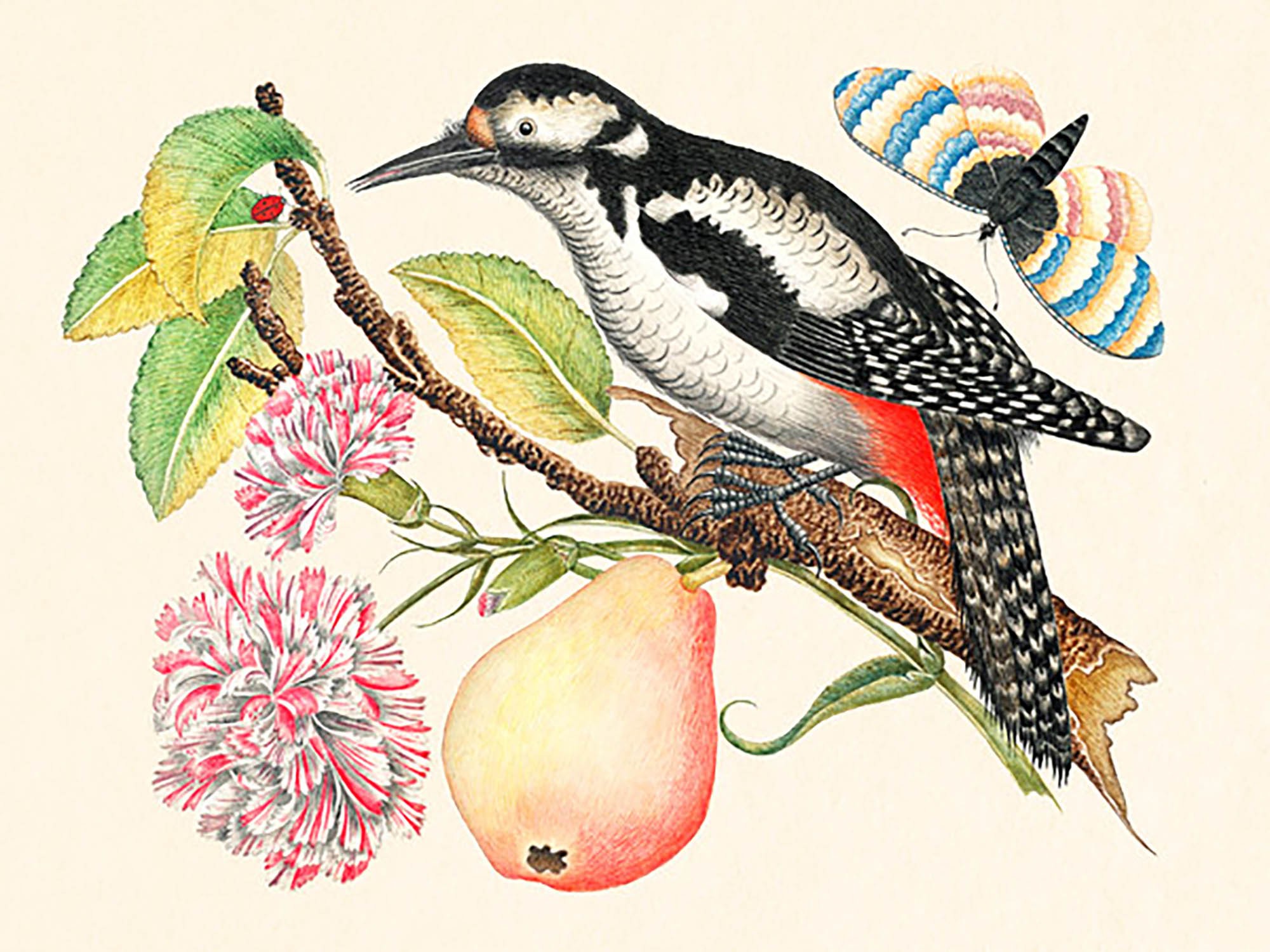 Un pájaro posado en una rama.