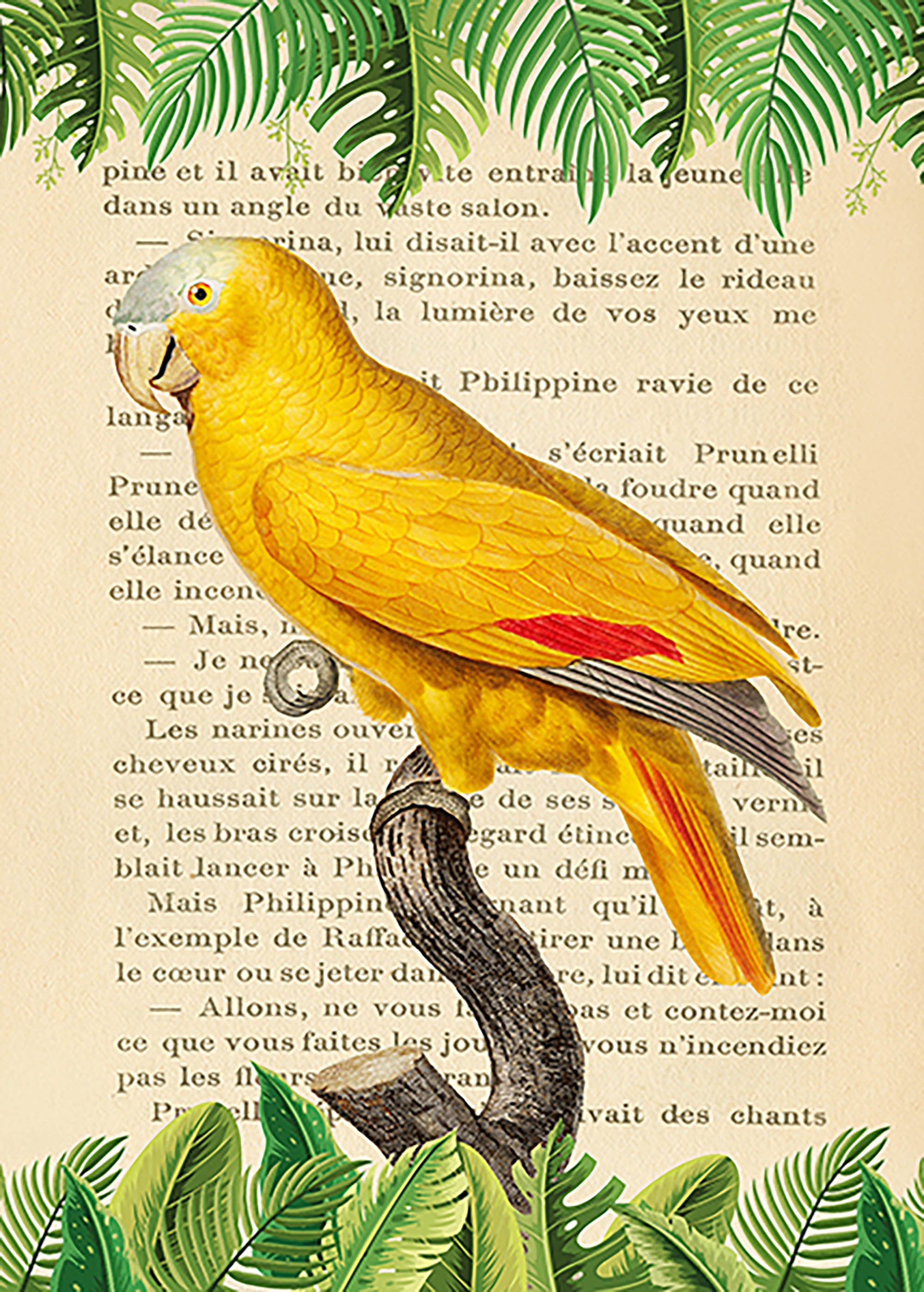 El loro de frente azul, según Levaillant