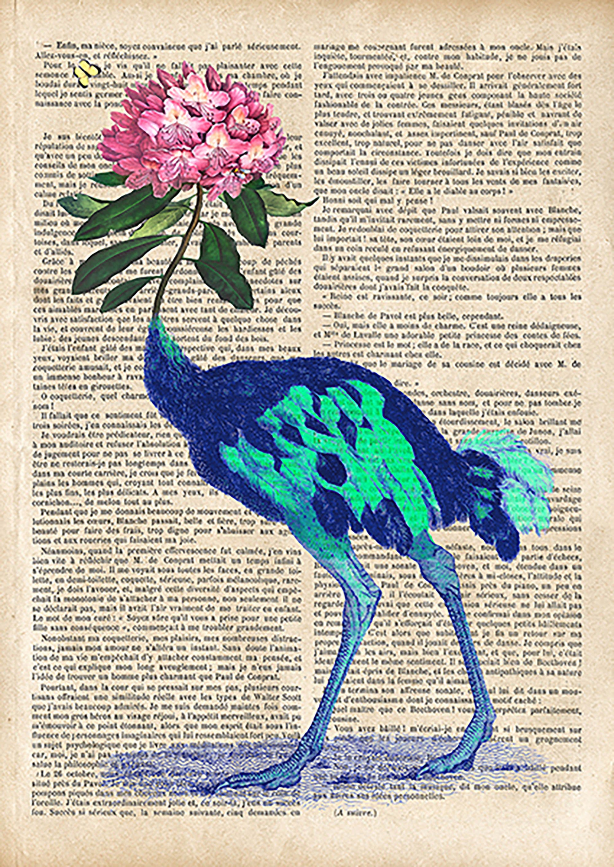 Una agradable sorpresa II