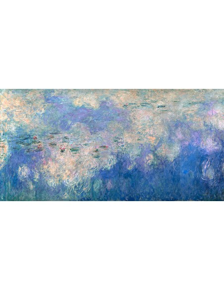 Detalle de Nenúfares: Las Nubes