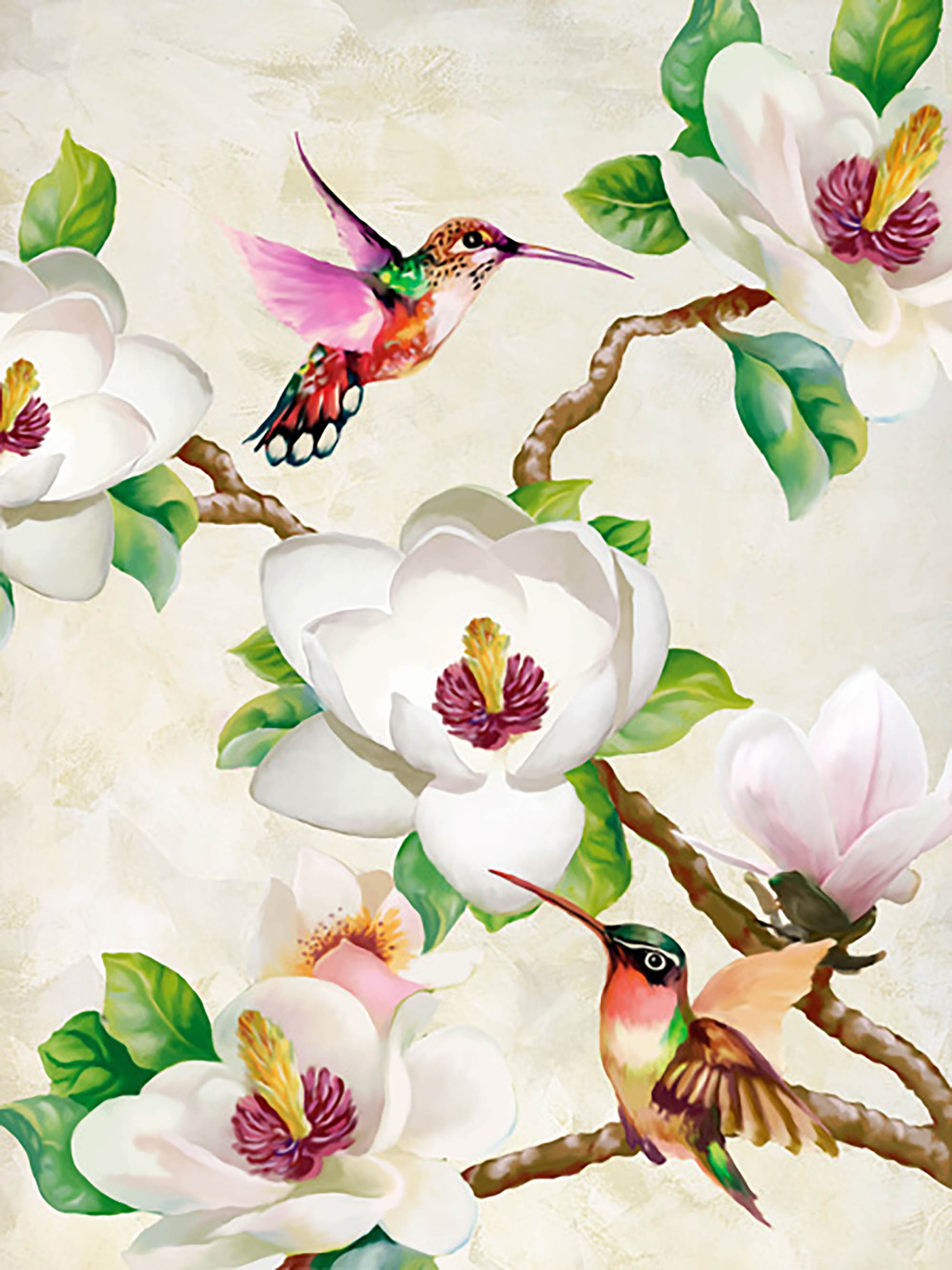 Magnolia y colibríes
