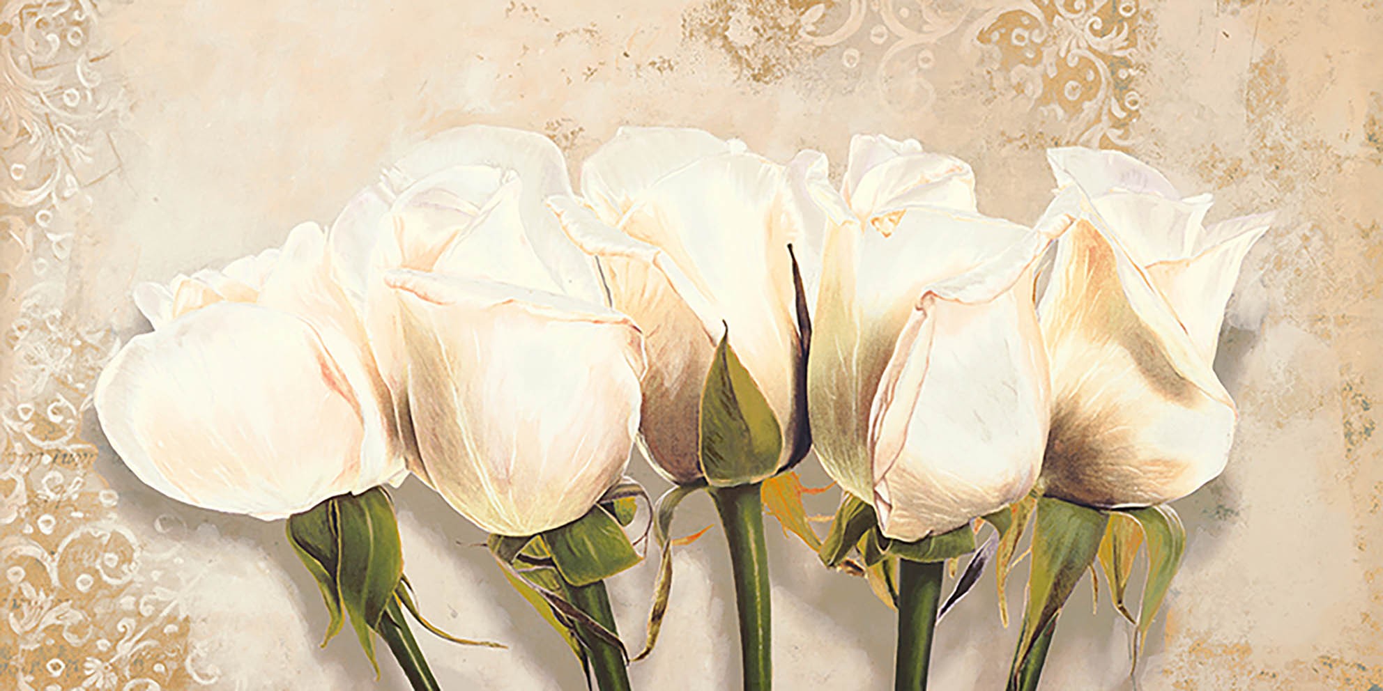 Capullos de rosa blanca