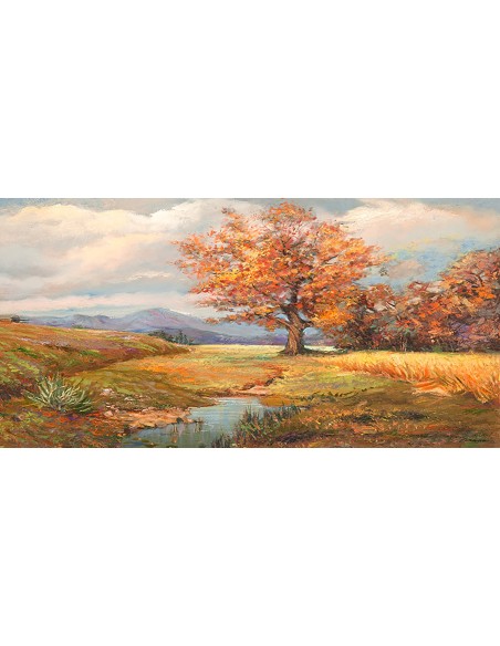 Primavera en el claro