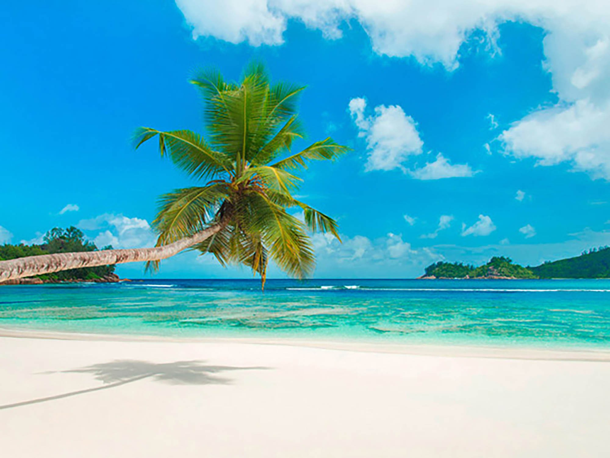 Playa tropical, Seychelles (detalle)