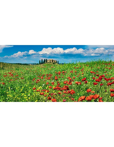 Casa rural con cipreses y amapolas, Toscana, Italia